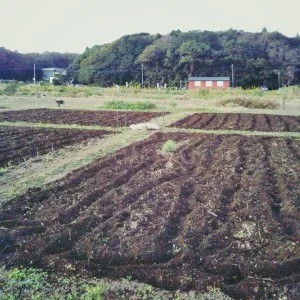 新規一転、総入れ替え！ 2016 10/25